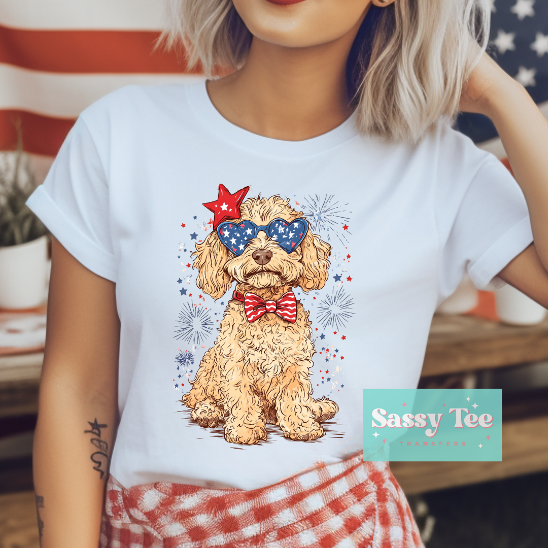 GOLDENDOODLE FIREWORKS USA