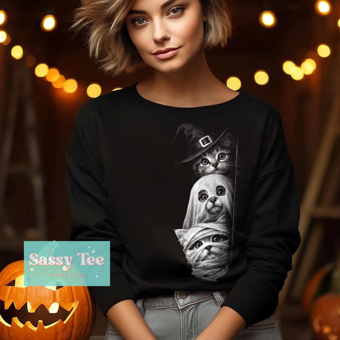 SPOOKY COSTUME CATS PEAKING **Preorder/Restock Ships in 5-10 biz days**