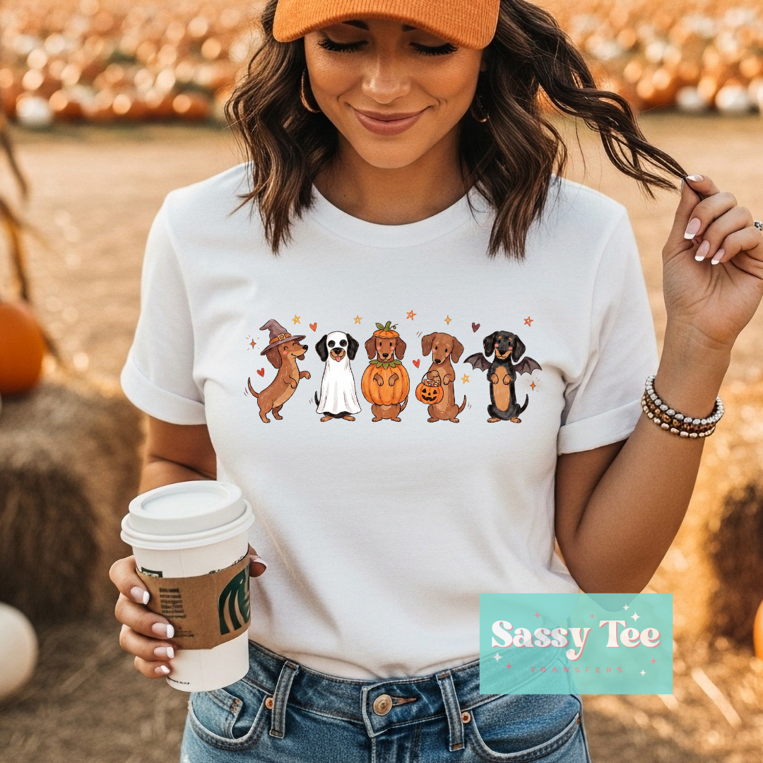 DACHSHUND HALLOWEEN PUPS **Preorder/Restock Ships in 5-10 biz days**