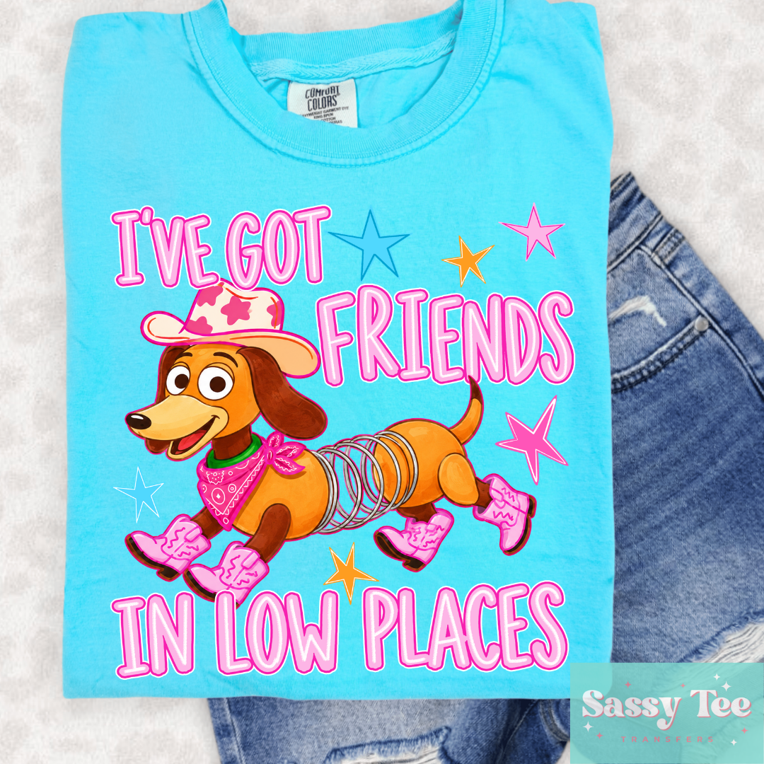 I'VE GOT FRIENDS IN LOW PLACES TOY DOG **Preorder/Restock Ships in 5-10 biz days**