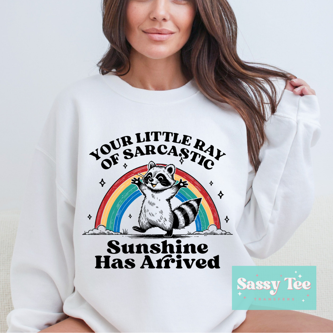 YOUR LITTLE RAY OF SARCASTIC SUNSHINE