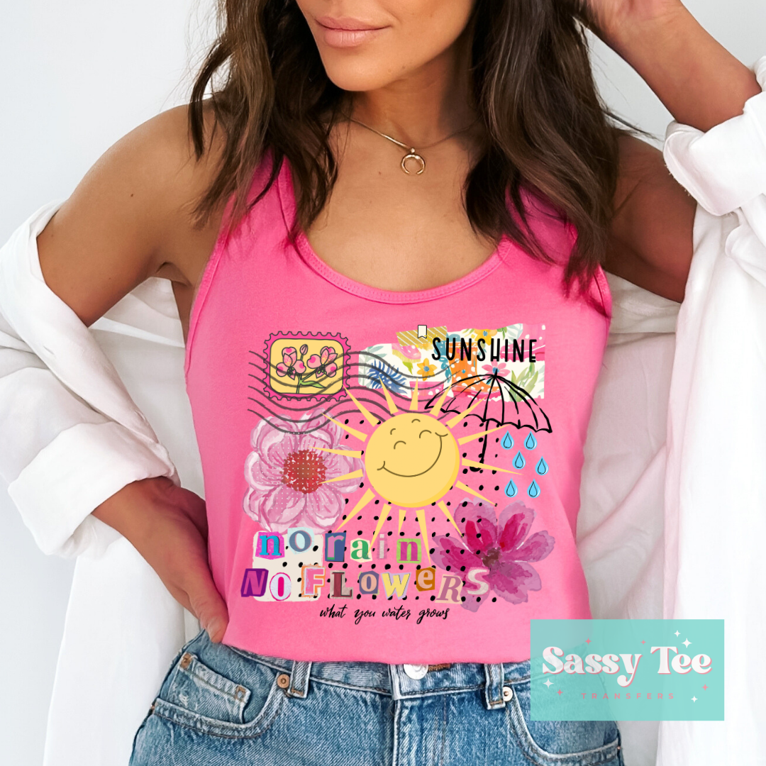 SUNSHINE STAMP WHAT YOU WATER GROWS **Preorder/Restock Ships in 5-10 biz days**
