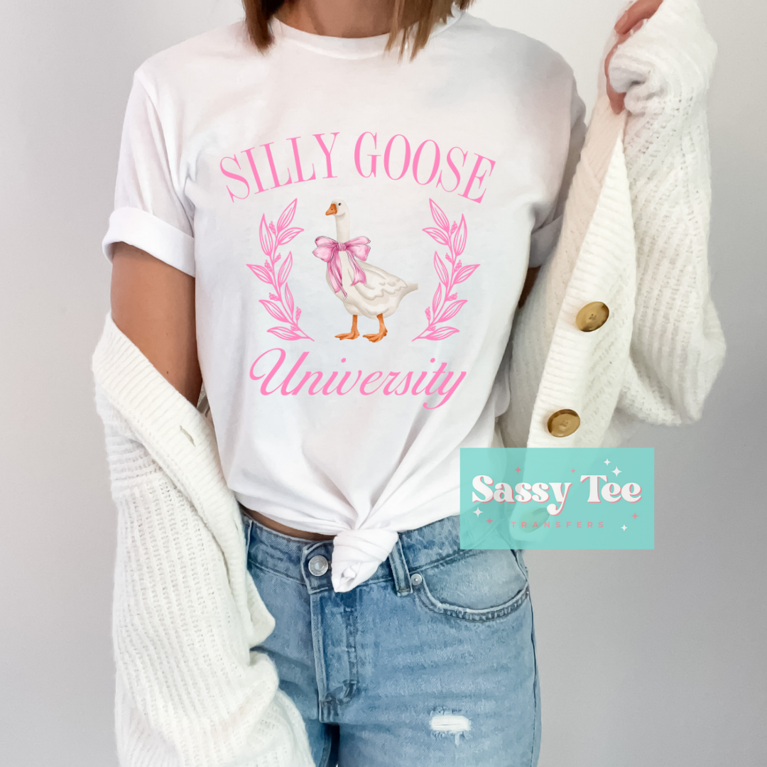 SILLY GOOSE UNIVERSITY
