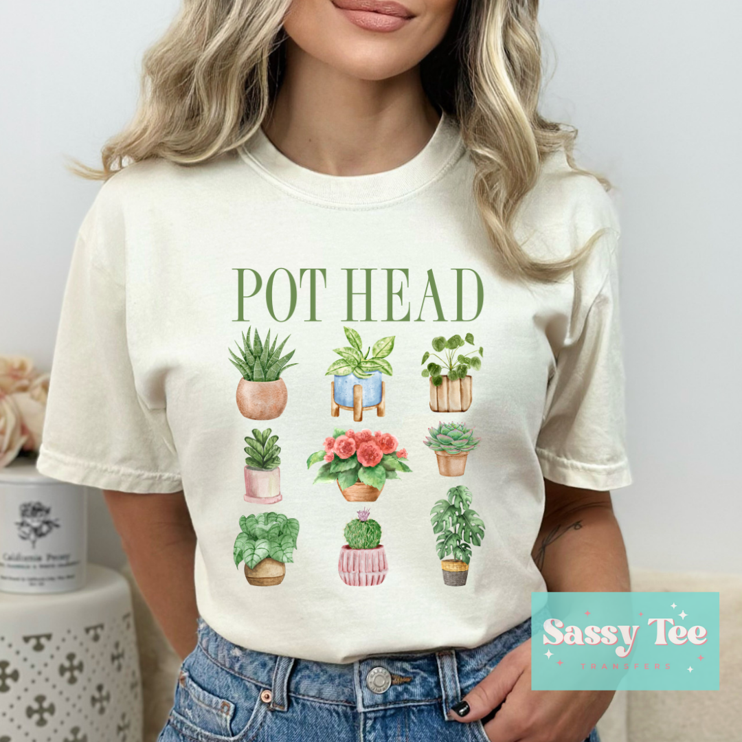 POT HEAD PLANTS *Restocked