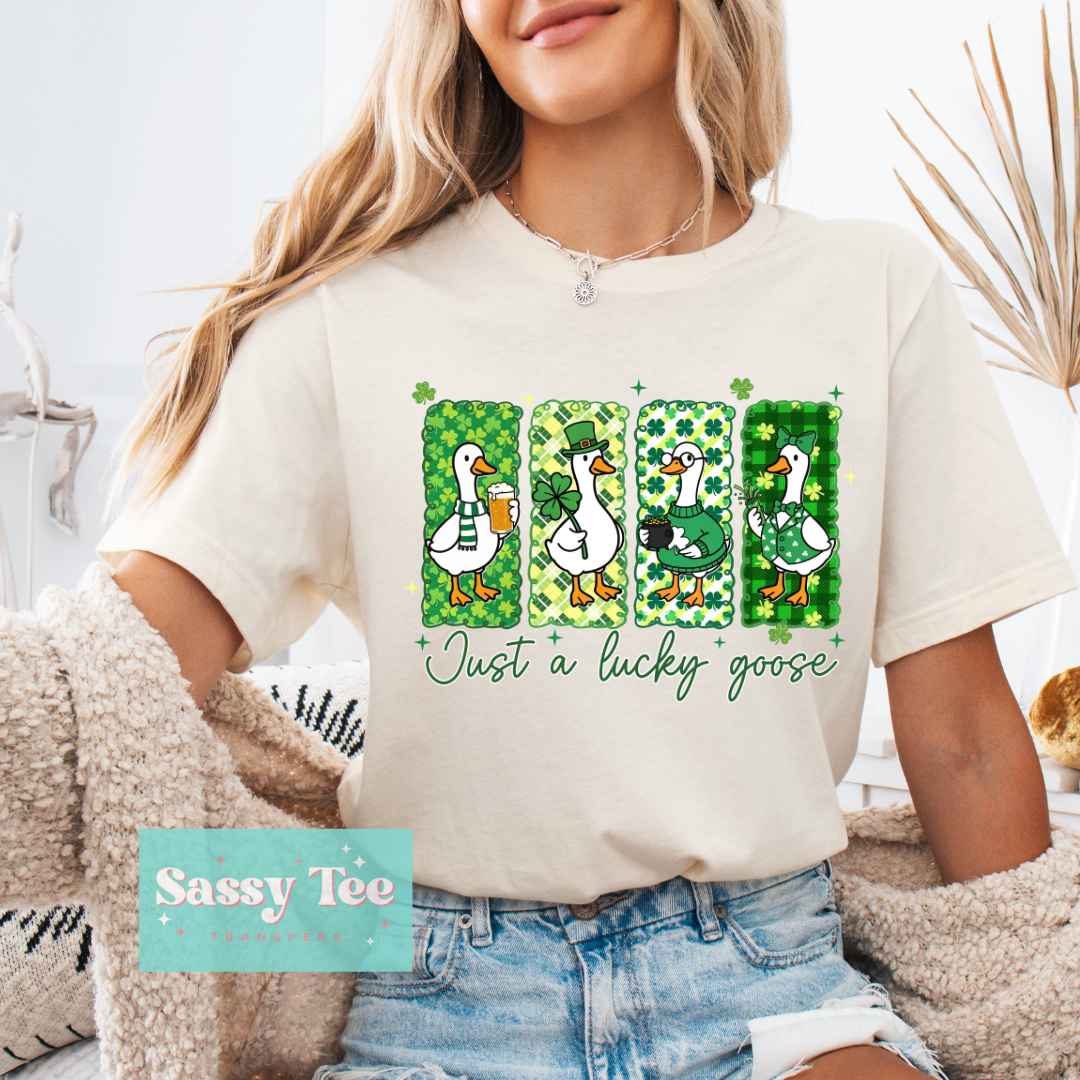 JUST A LUCKY GOOSE ST. PATTY FUN FRAMES **Preorder/Restock Ships in 5-10 biz days**