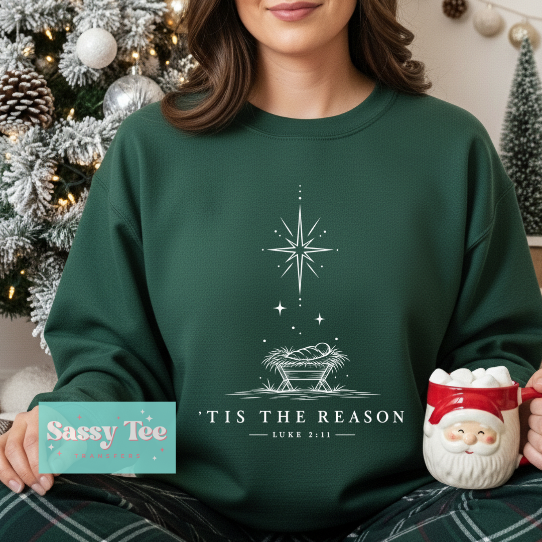TIS SEASON BABY JESUS MANGER CHRISTMAS STAR **Preorder/Restock Ships in 5-10 biz days**