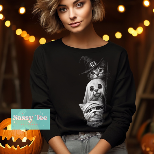SPOOKY COSTUME CATS PEAKING **Preorder/Restock Ships in 5-10 biz days**