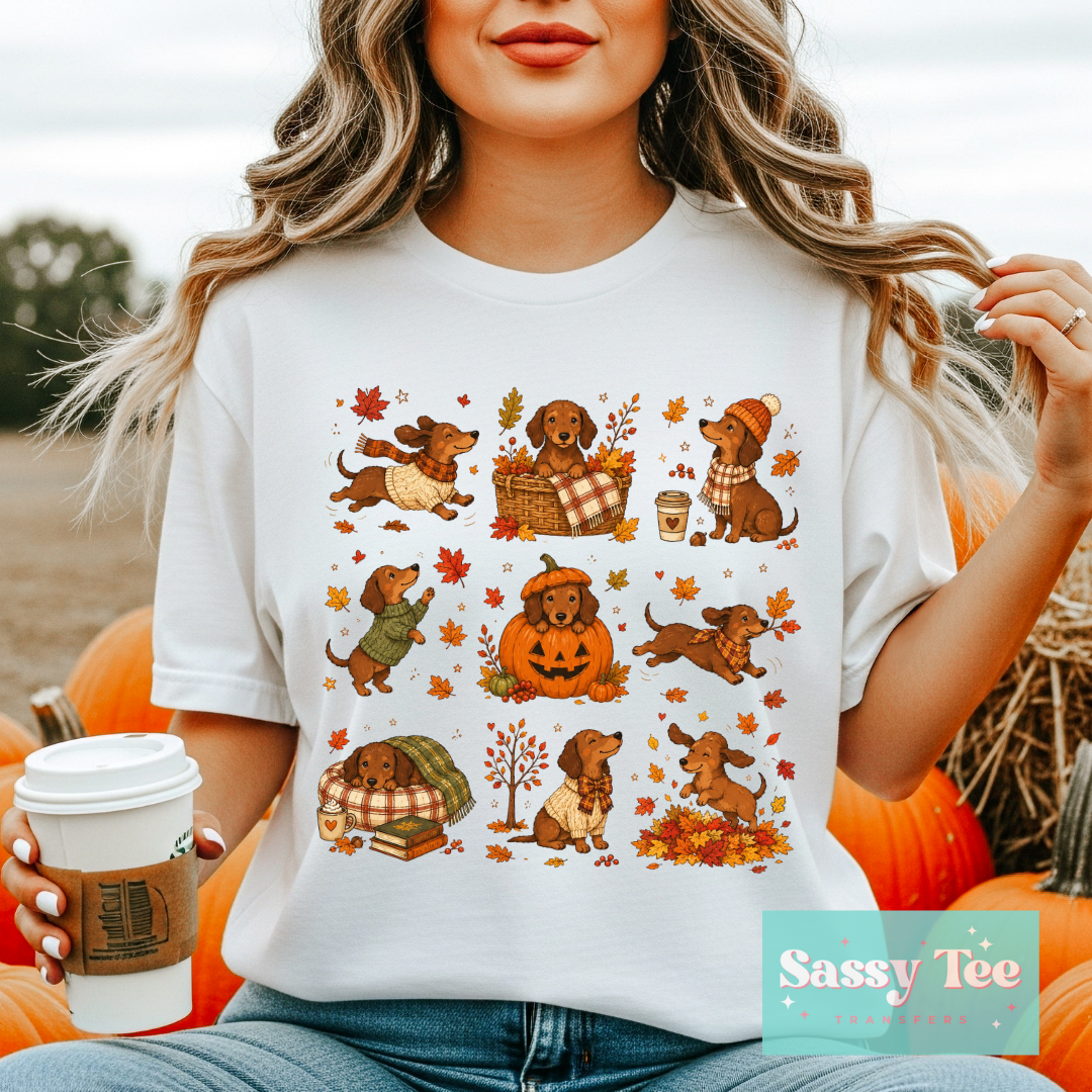 DACHSCHUND FALL FUN PUMPKIN **Preorder/Restock Ships in 5-10 biz days**