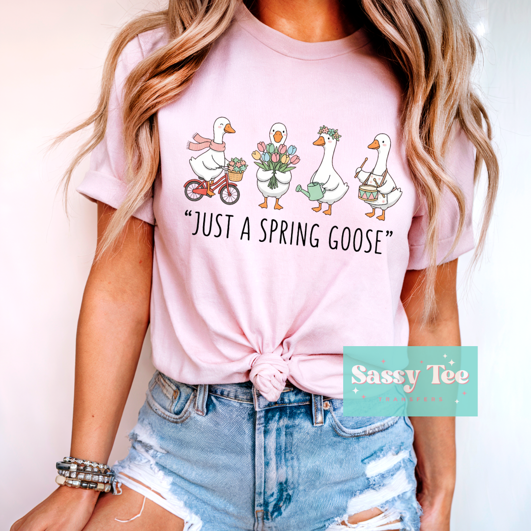 UST A SPRING GOOSE **Preorder/Restock Ships in 5-10 biz days**