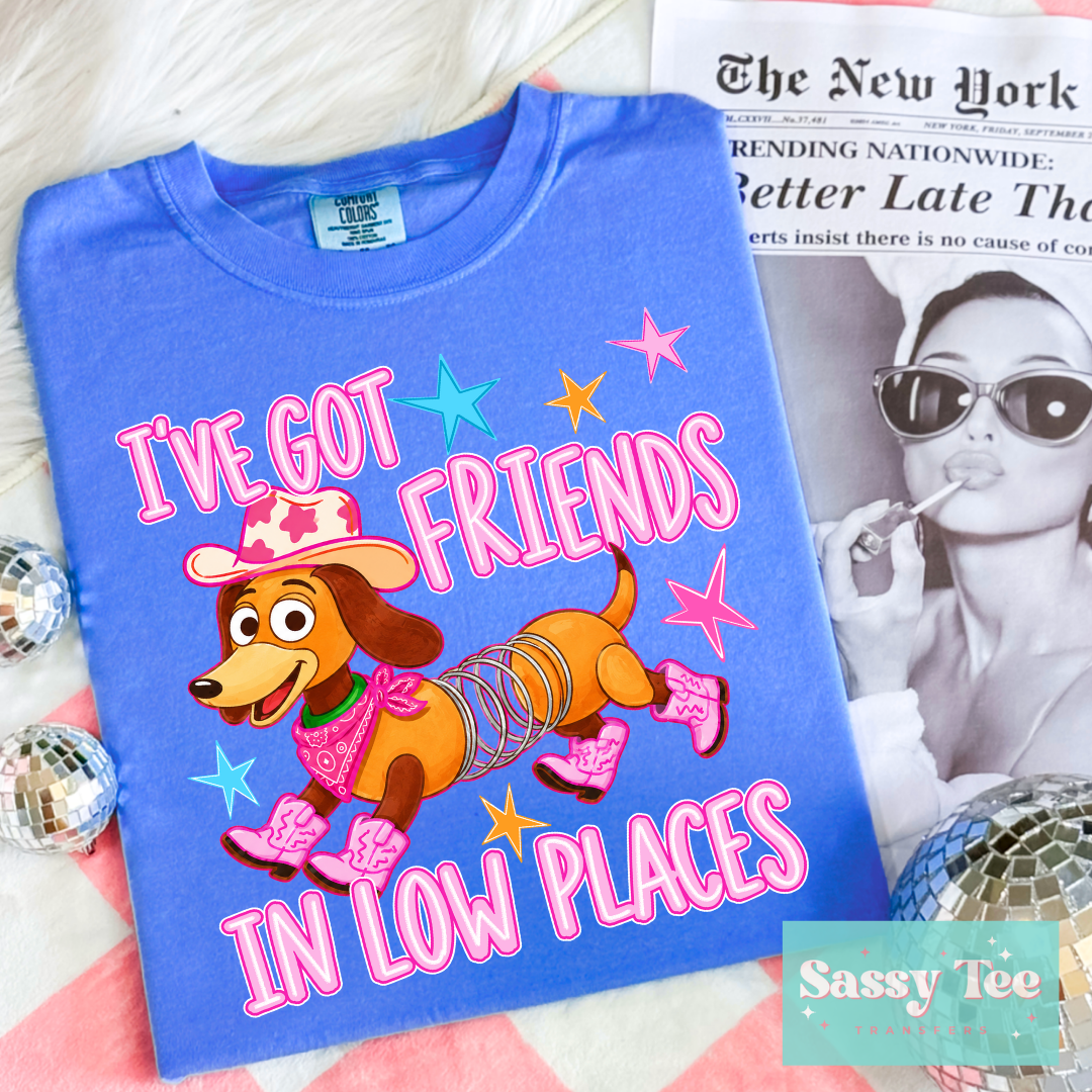 I'VE GOT FRIENDS IN LOW PLACES TOY DOG **Preorder/Restock Ships in 5-10 biz days**