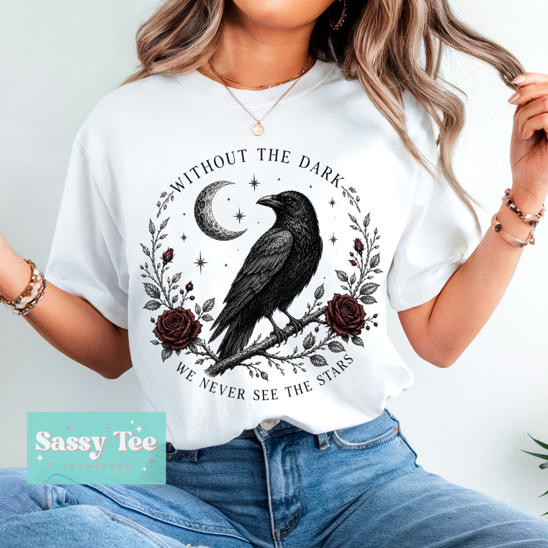 WITHOUT THE DARK WE NEVER SEE THE STARS CROW **Preorder/Restock Ships in 5-10 biz days**