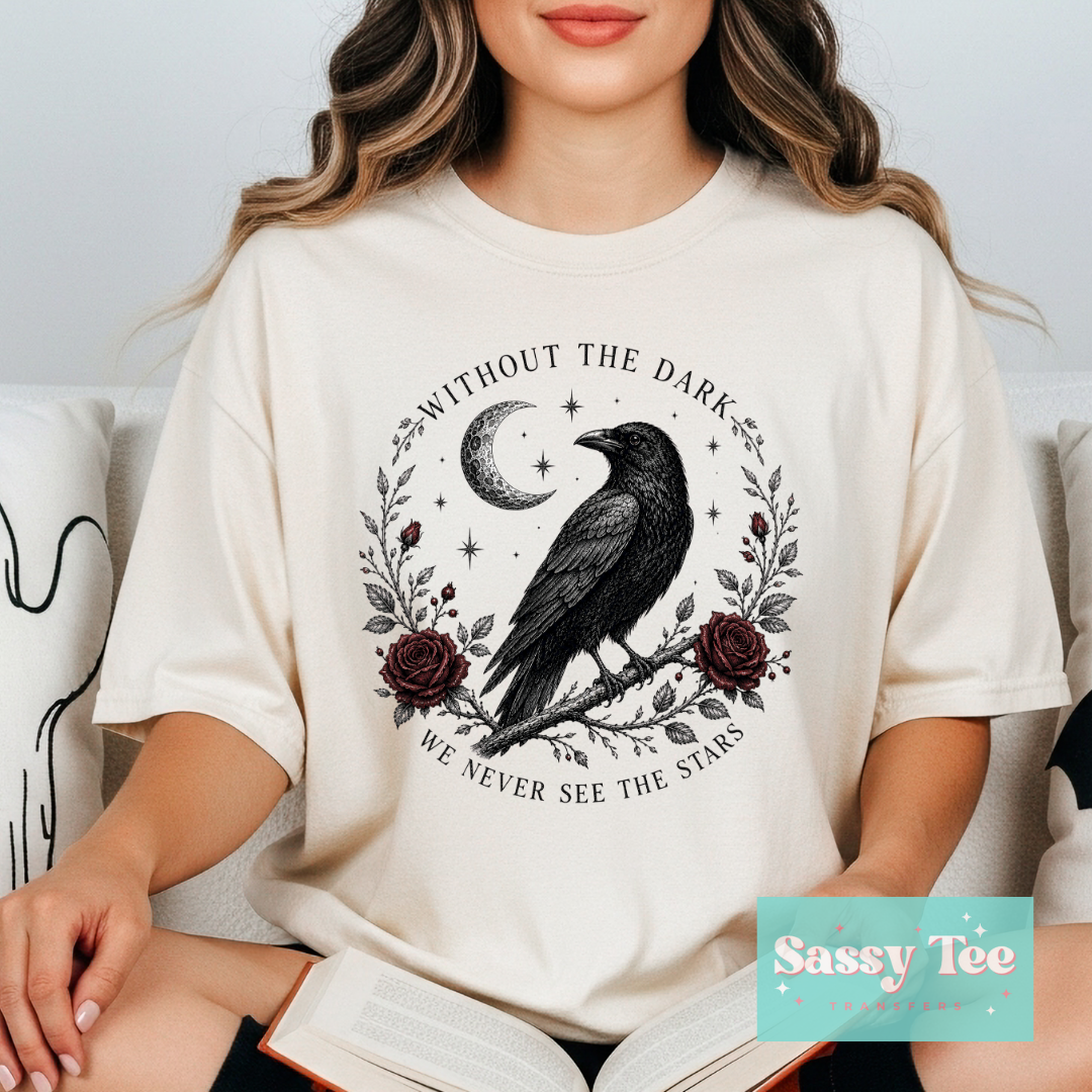 WITHOUT THE DARK WE NEVER SEE THE STARS CROW **Preorder/Restock Ships in 5-10 biz days**