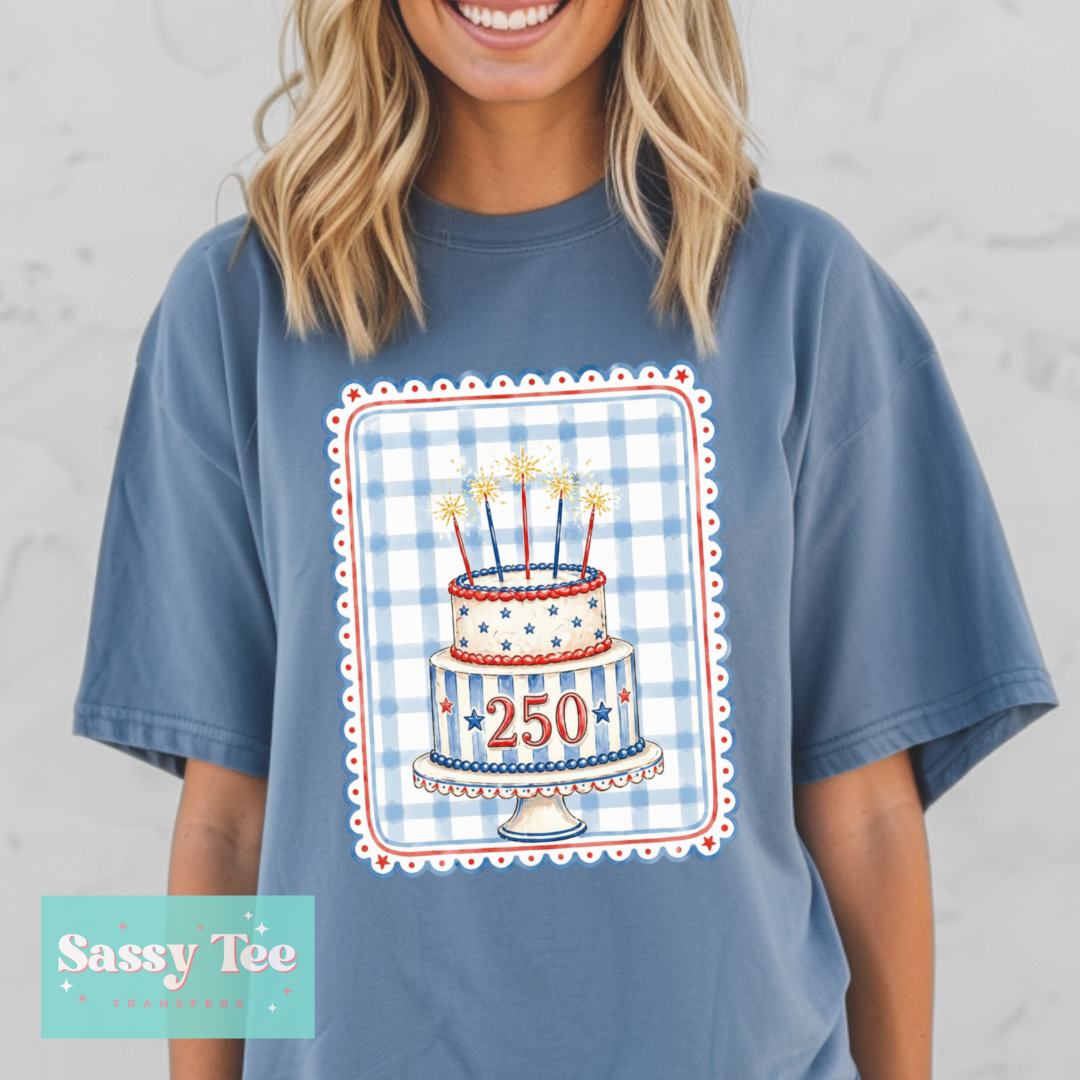 250TH AMERICA BIRTHDAY CAKE PREPPY FRAME **Preorder/Restock Ships in 5-10 biz days**