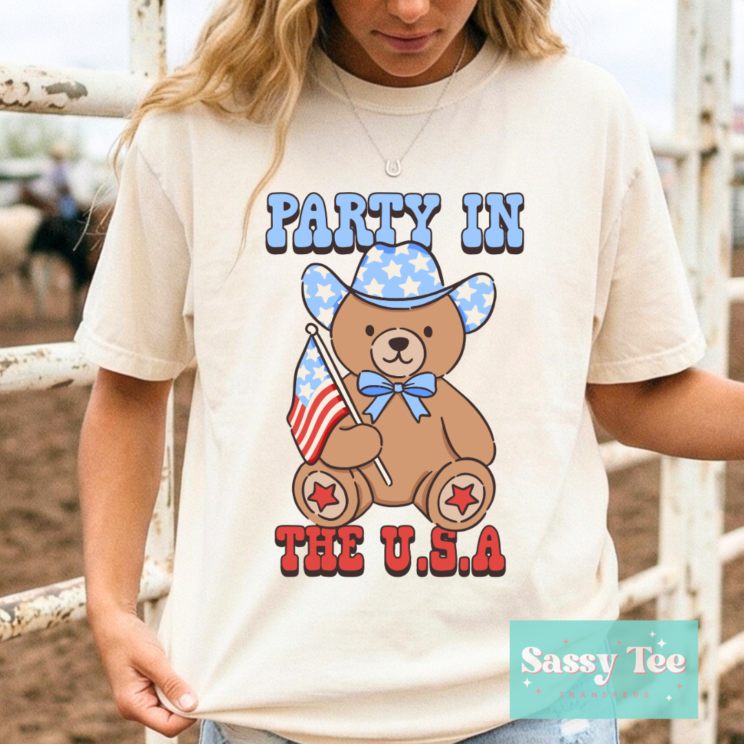 PARTY IN THE USA CUTE COUNTRY TEDDY **Preorder/Restock Ships in 5-10 biz days**