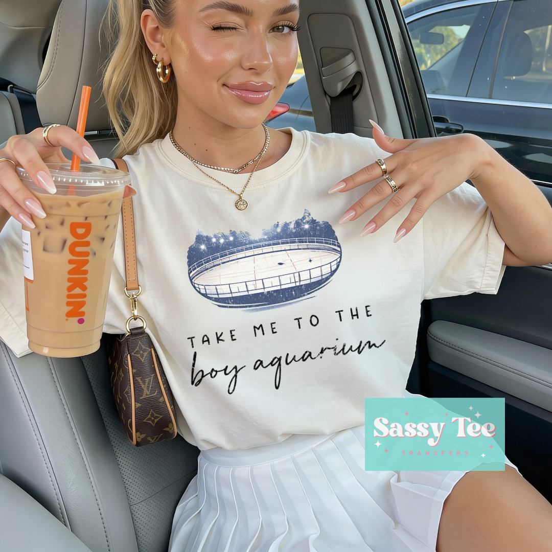 TAKE ME TO THE BOY AQUARIUM STADIUM BOOK **Preorder/Restock Ships in 5-10 biz days**