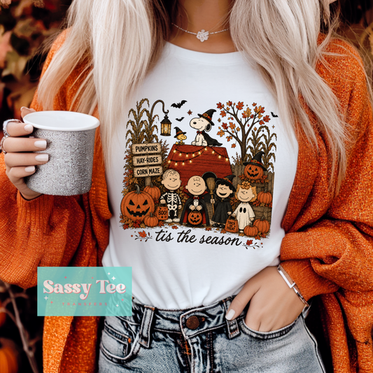 SNOOP FRIENDS FALL COSTUME CORN MAZE HOUSE **Preorder/Restock Ships in 5-10 biz days**