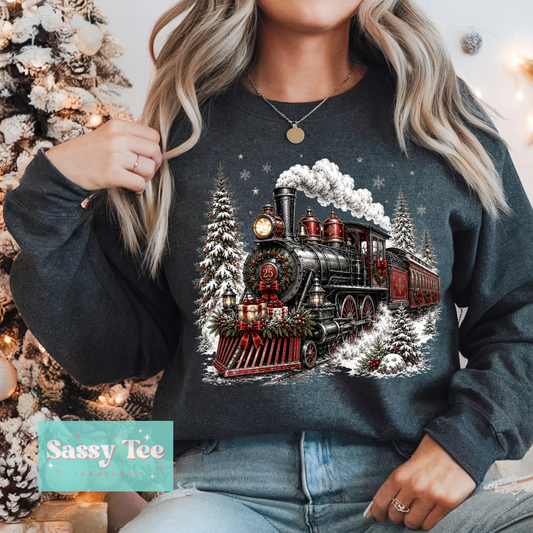 POLAR EXPRESS TRAIN CHRISTMAS For Darker Colors **Preorder/Restock Ships in 5-10 biz days**