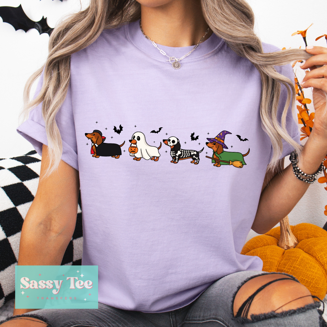 SPOOKY COSTUMES DACHSHUNDS **Preorder/Restock Ships in 5-10 biz days**