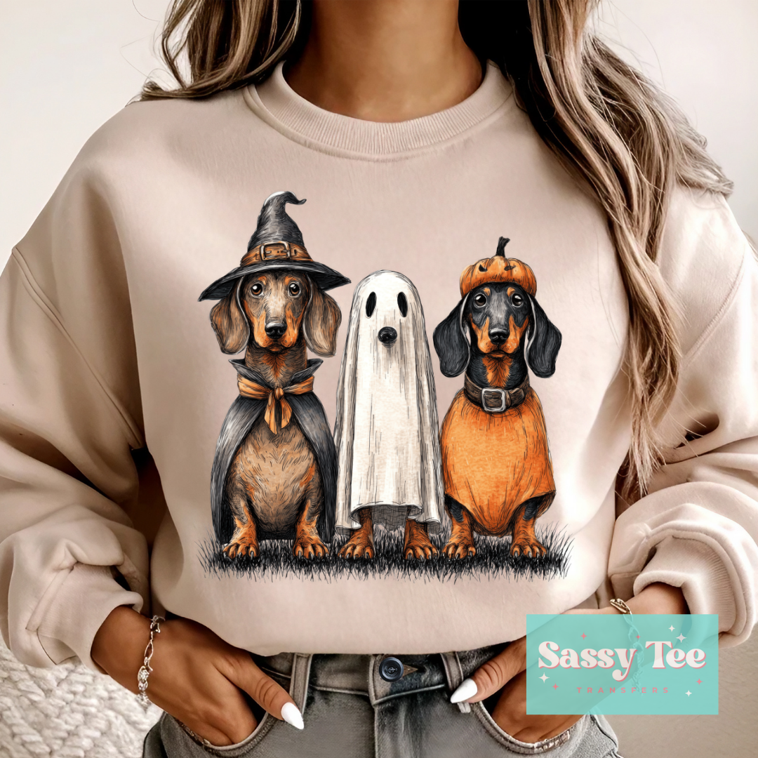 DACHSHUNDS COSTUMES **Preorder/Restock Ships in 5-10 biz days**