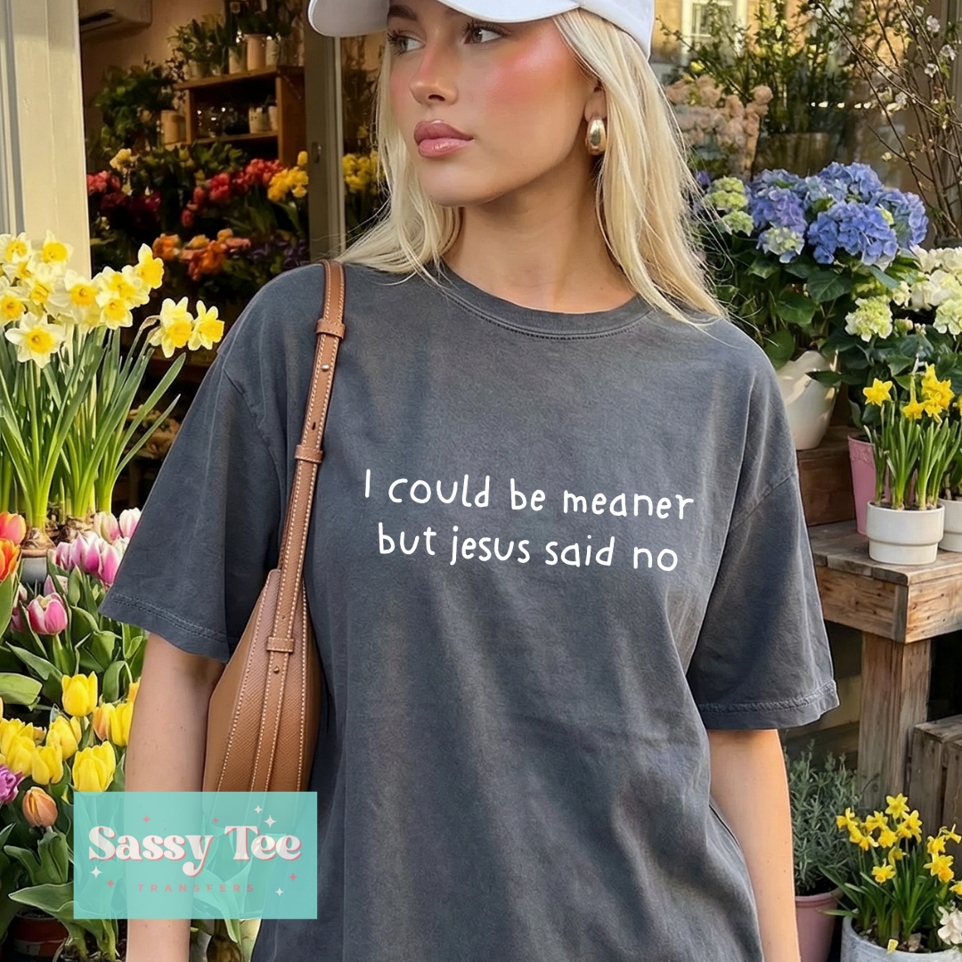 I COULD BE MEANER BUT JESUS SAID NO **Preorder/Restock Ships in 5-10 biz days**