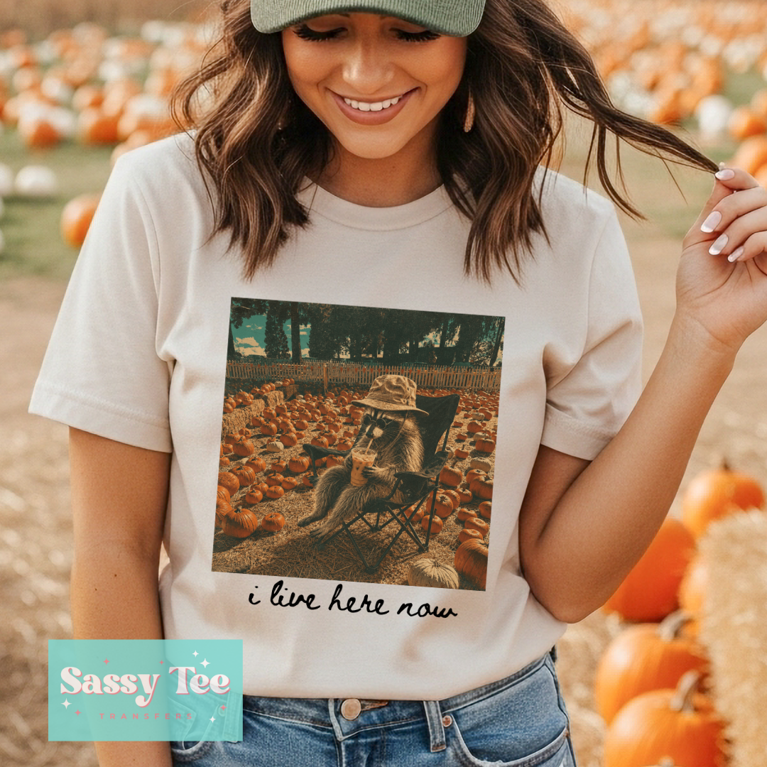 I LIVE HERE NOW FERAL FALL PUMPKINS **Preorder/Restock Ships in 5-10 biz days**